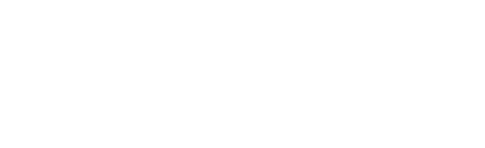 logo footer sianed